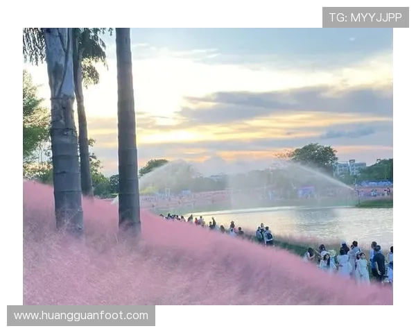 皇冠集团官网app功能介绍与使用技巧,全面提升您的操作体验和账户管理效率